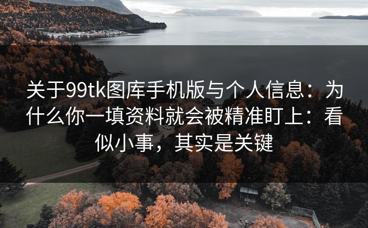 关于99tk图库手机版与个人信息：为什么你一填资料就会被精准盯上：看似小事，其实是关键