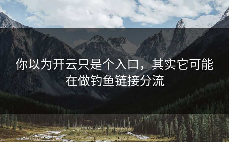 你以为开云只是个入口，其实它可能在做钓鱼链接分流